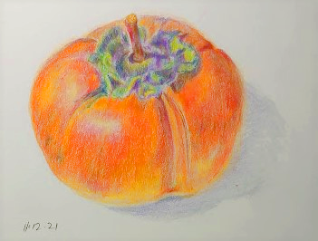 persimmon